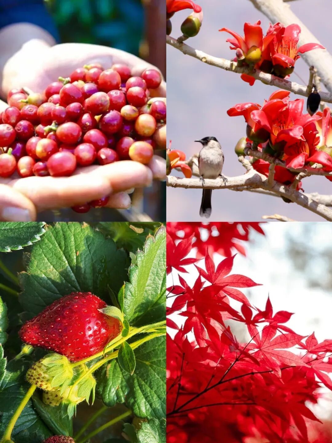 bf043a57736b405cb4f38c6c01073e46 bf043a57736b405cb4f38c6c01073e46