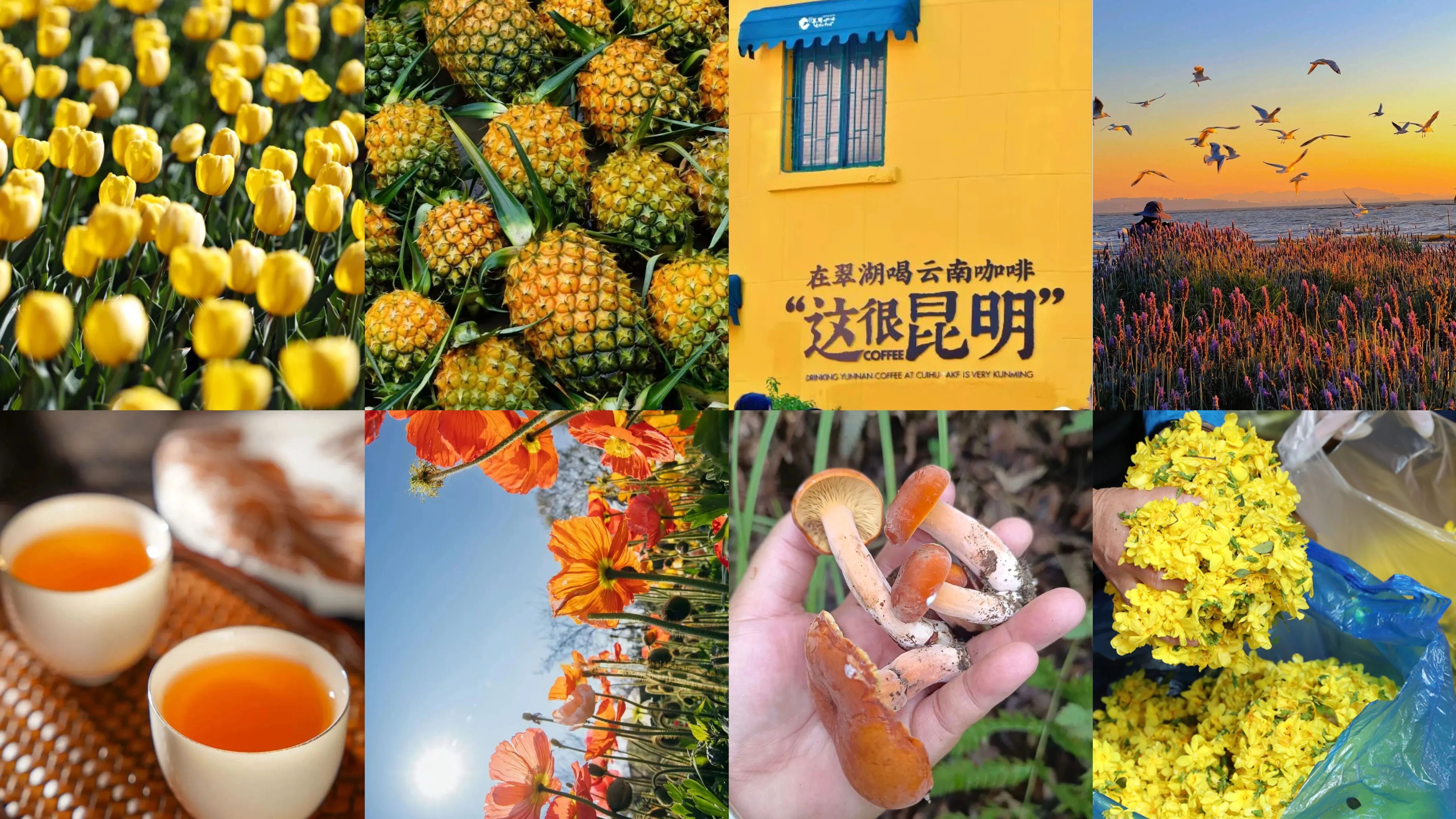 88e98cf1f7b24e1e89452b315e1dd92d 88e98cf1f7b24e1e89452b315e1dd92d