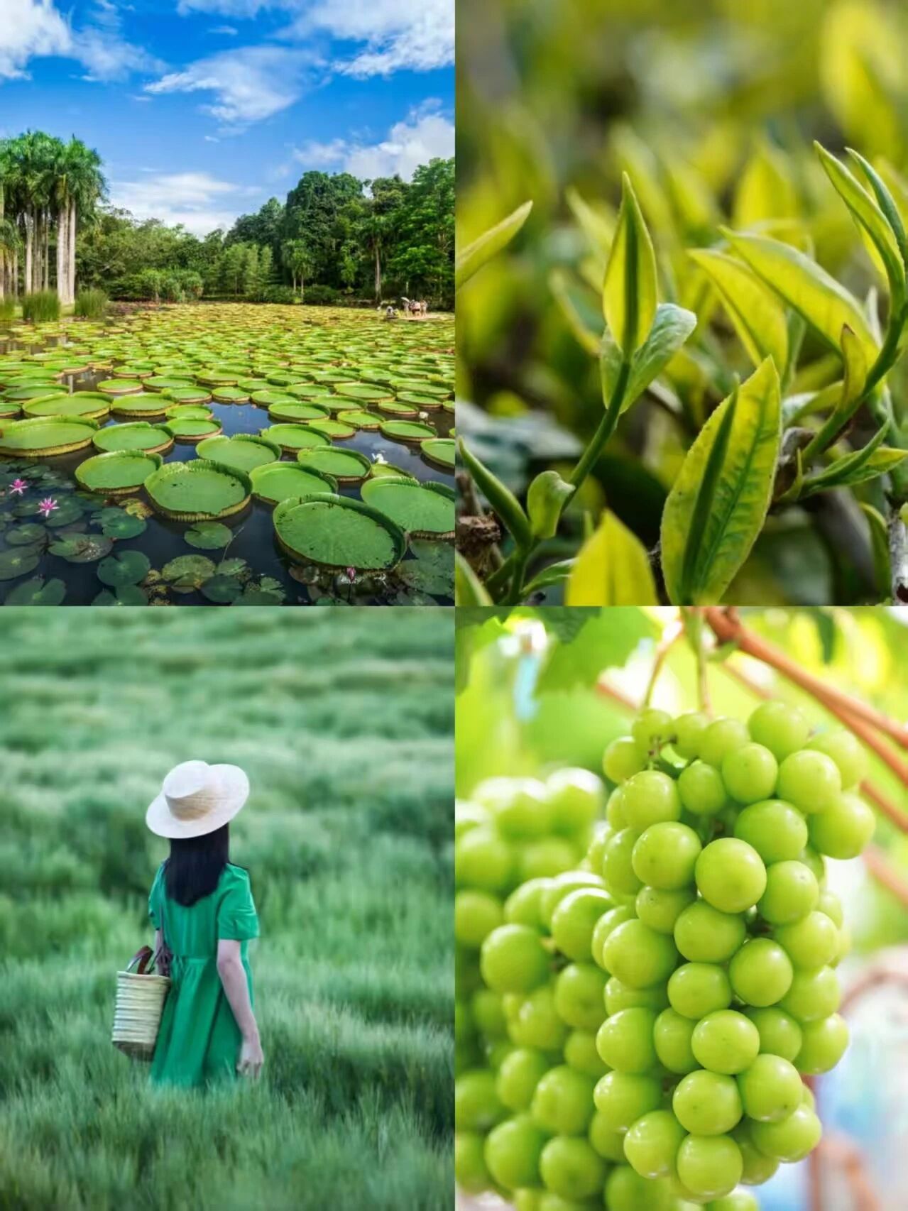 11c371926ceb45a1a75d794c51c94b50 11c371926ceb45a1a75d794c51c94b50