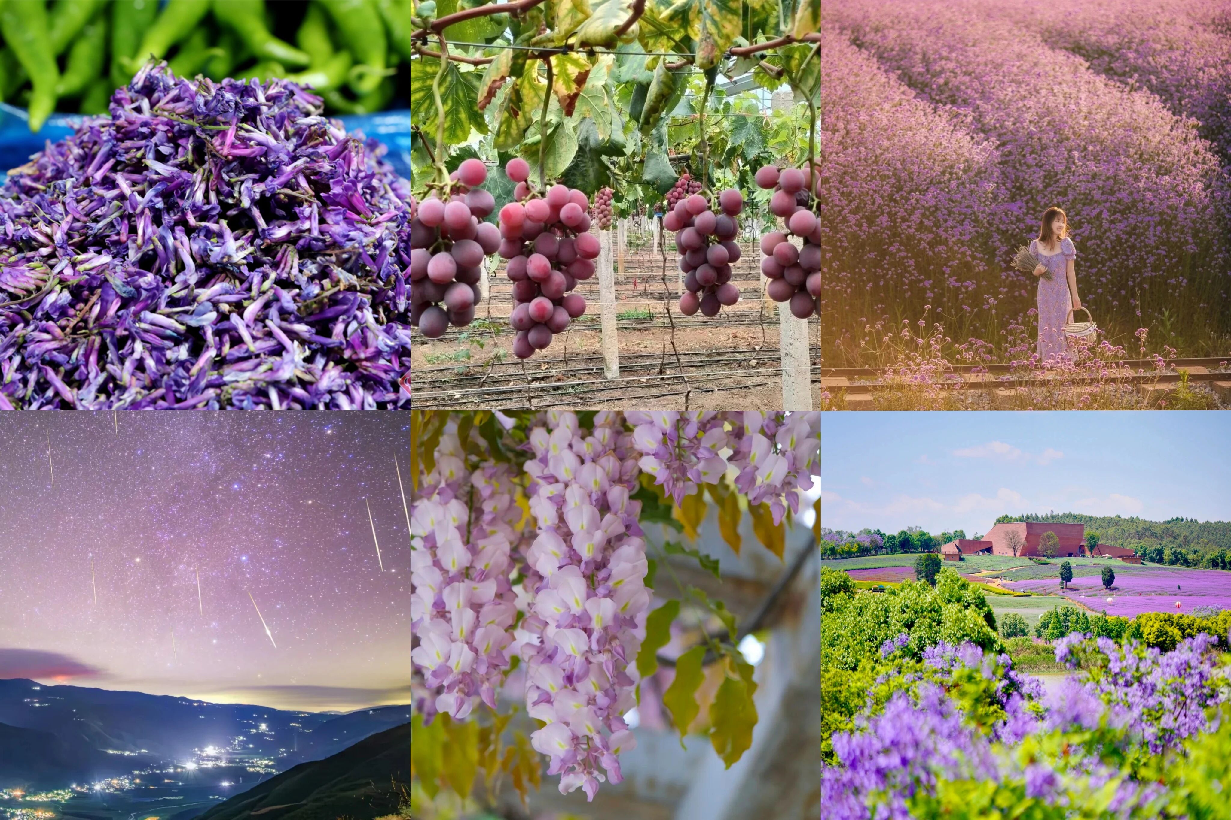 2271de3350ce401fa570a9f7ff4d3ce8 2271de3350ce401fa570a9f7ff4d3ce8