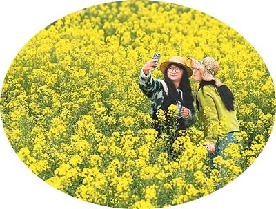 5e1d13222f524d3a822fc9e2cdb8a1c2