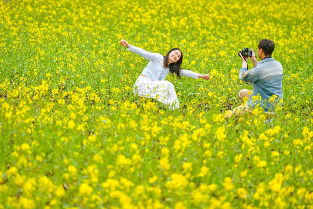 XxjpsgC000020_20260402_CBMFN0A004