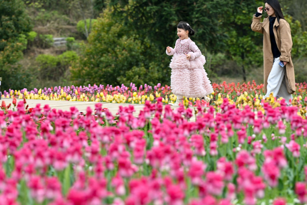 XxjpsgC000020_20260402_CBMFN0A006