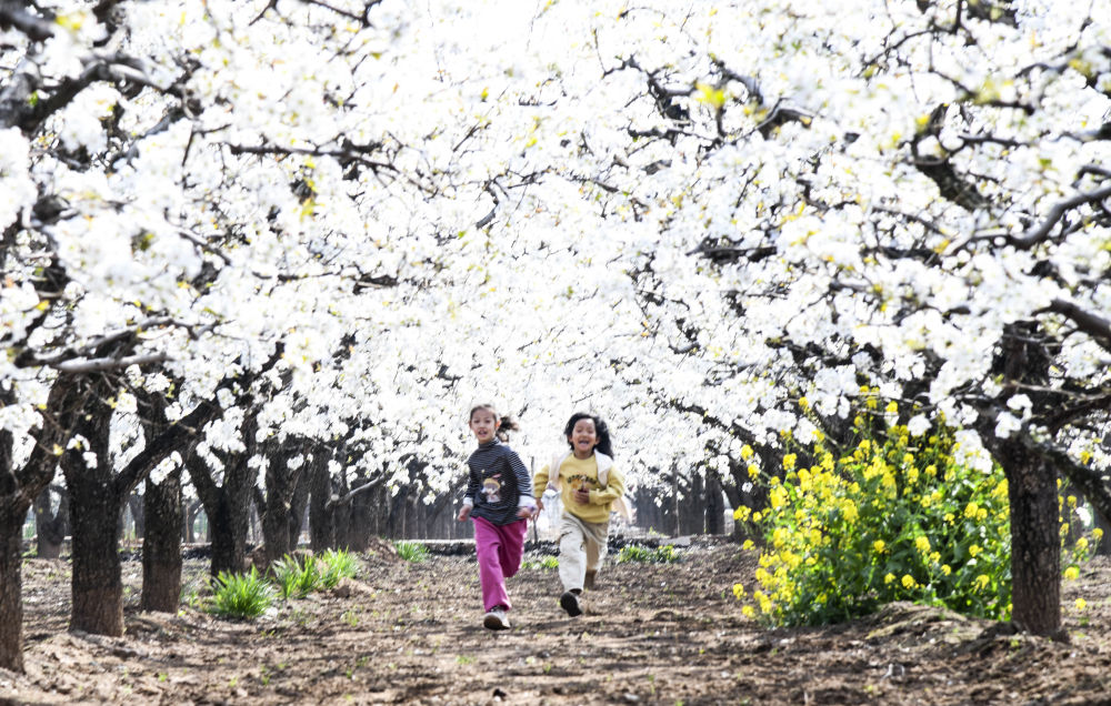 XxjpsgC000020_20260402_CBMFN0A005