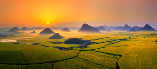 ba63a89b-669e-4797-b8e3-62818f362845