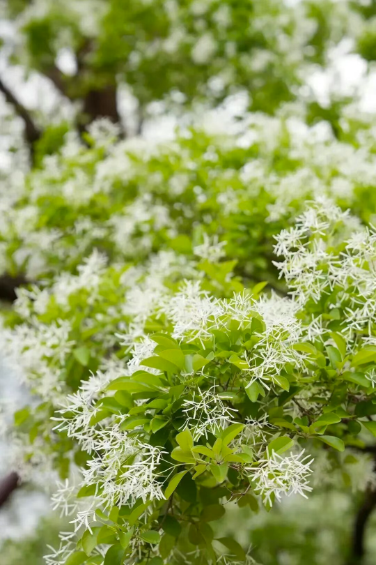 519552b7d7734b82afde188c73f7cb5f