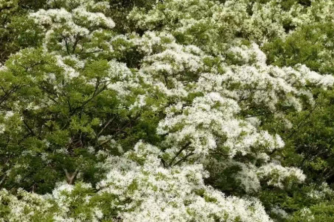 5fbf019a968846e3a28f66210fd7c317