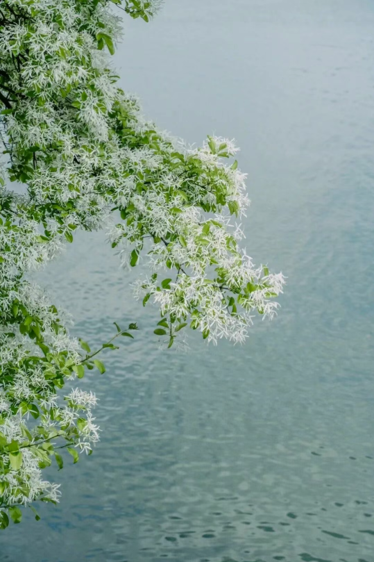 94d2276a03c14bd3b77f0e4f25ddd565