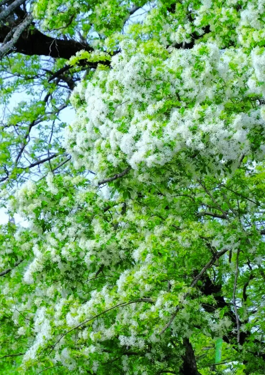 dd58d2f94f7e49c8bd2941fba3cdb541